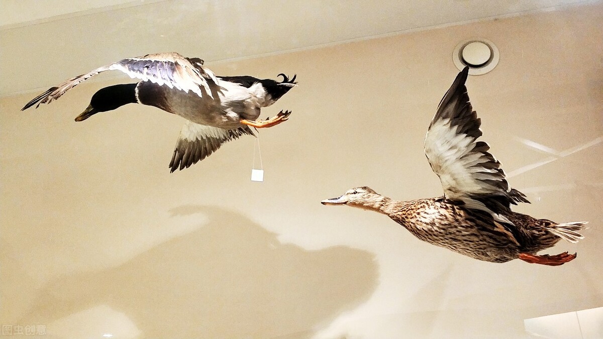 非暴力沟通的奥秘,非暴力沟通的4个智慧