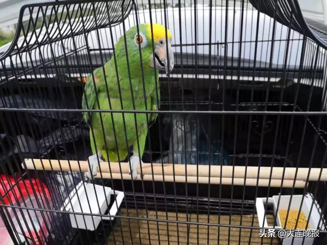 大连破获一起重大案件！涉及大半个中国