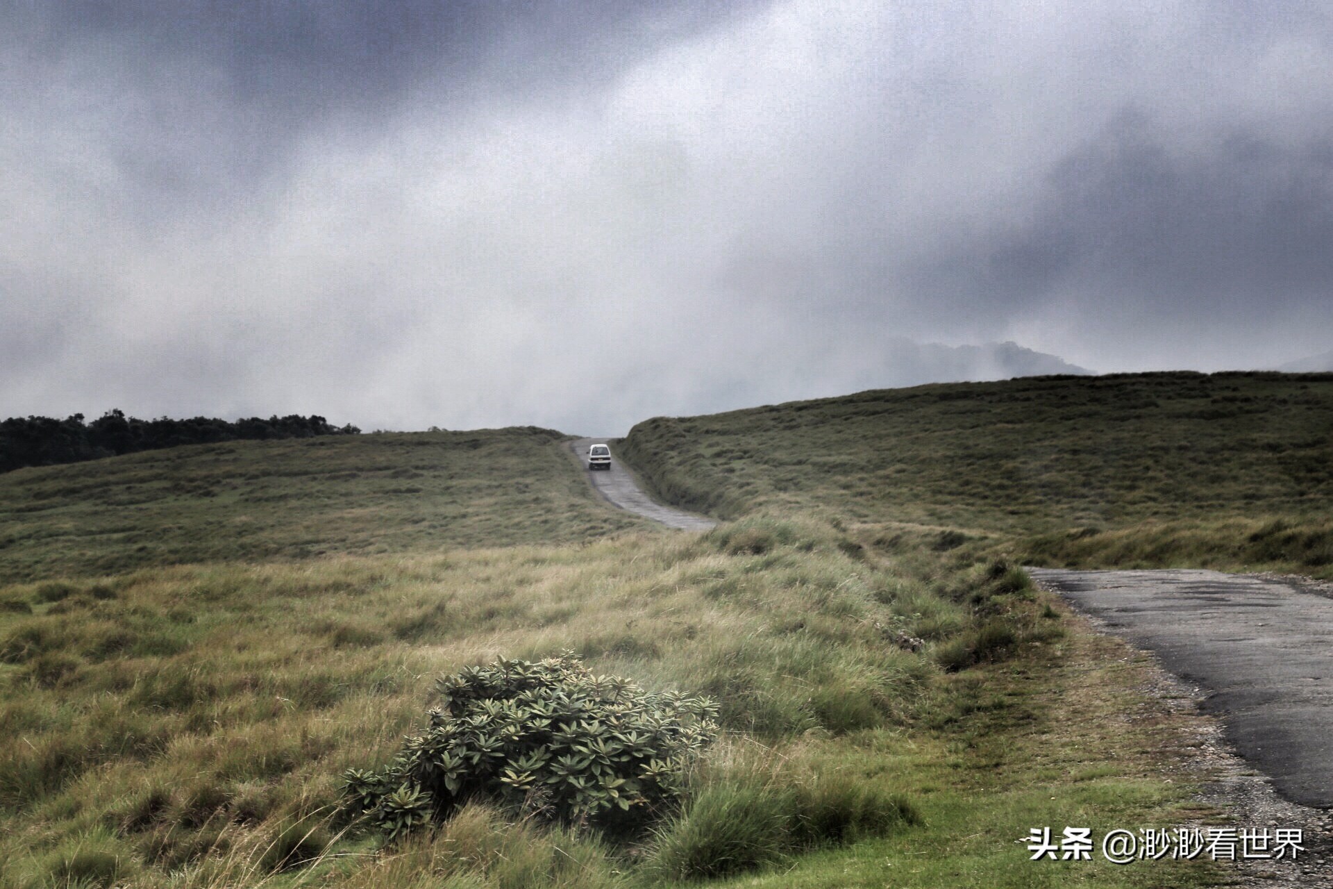 去斯里兰卡旅游攻略,1月去斯里兰卡旅游的最佳攻略