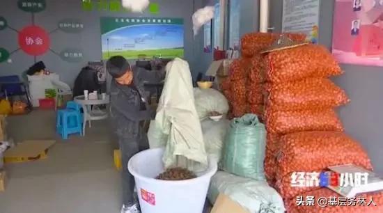 云南核桃批发价是多少钱一斤,云南的核桃价格多少一斤