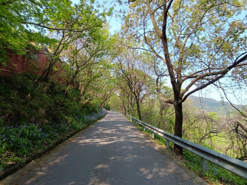 苏州第一高峰穹窿山,苏州最高的山穹窿在哪里