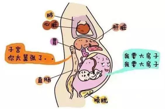 提前预知是否长妊娠纹,人身上妊娠纹