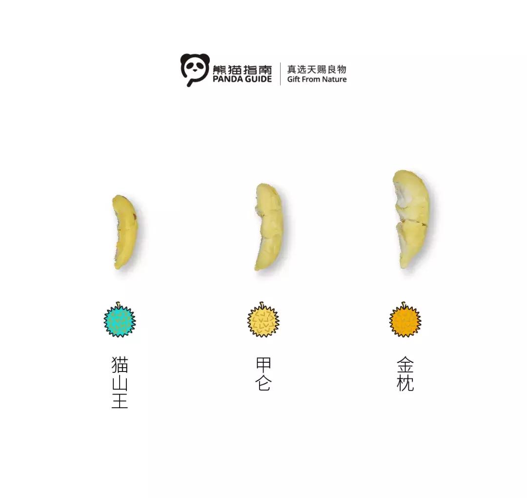 榴莲猫山王榴莲,金枕榴莲好还是猫山王榴莲好视频