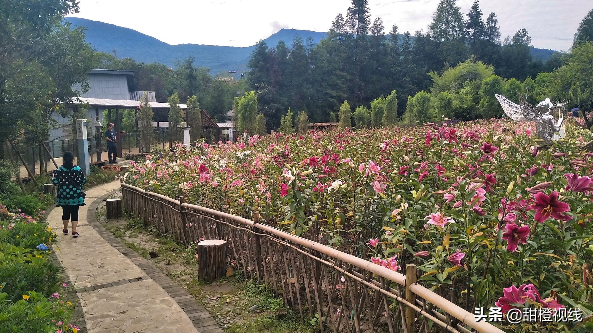 峨眉山七里坪周边旅游攻略,七里坪远看峨眉山金顶