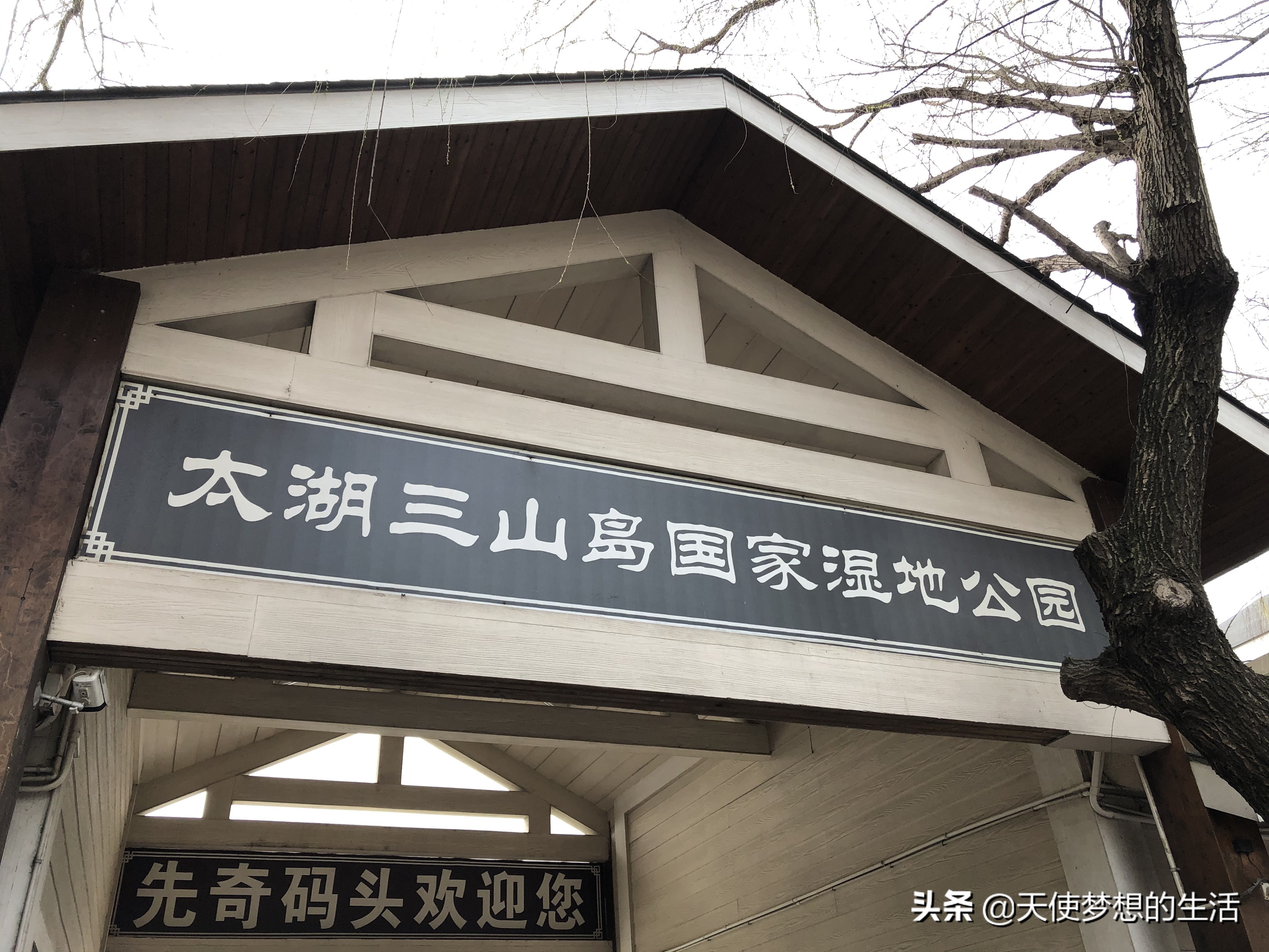 苏州太湖三山岛景区,苏州太湖的三山岛有风景吗