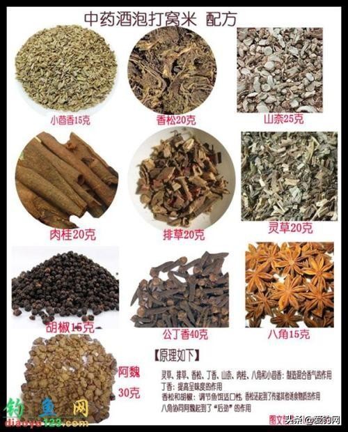 酒曲酵母窝料配方,甜酒曲发酵窝料制作方法