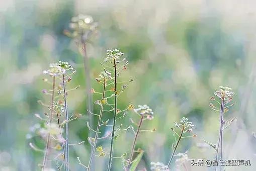 想要成为优秀的人要具备什么,怎样才能成为最有价值的人