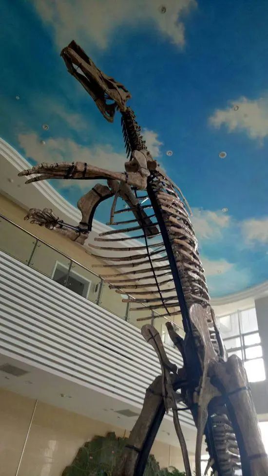 济南遛娃室内去哪里玩,济南值得玩的室内场馆