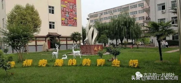 夏蝉长鸣传喜讯镇中给您报佳绩