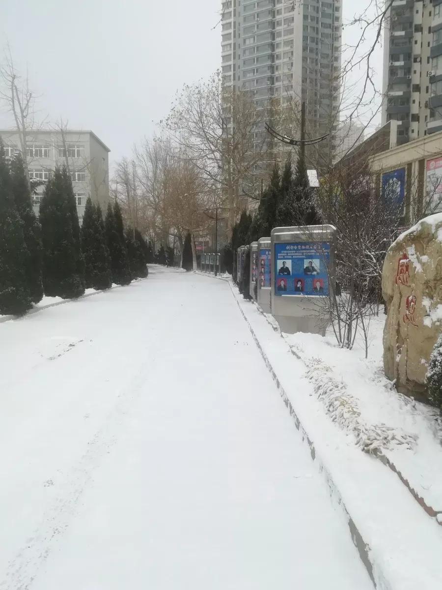 辽宁附属高级中学,辽宁师范大学附属中学2017