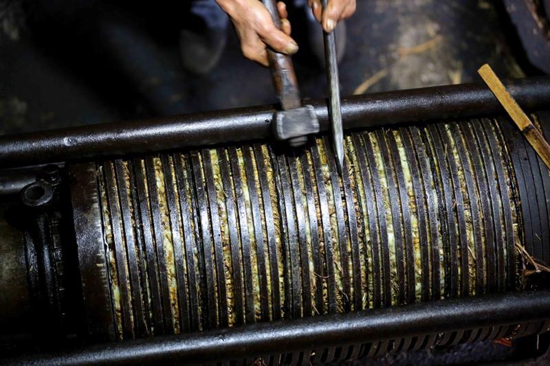 正宗山茶油求购,山茶油销售渠道招聘