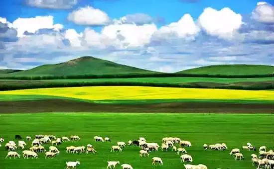 全国各地的特产带货,全国各地特产礼品有哪些