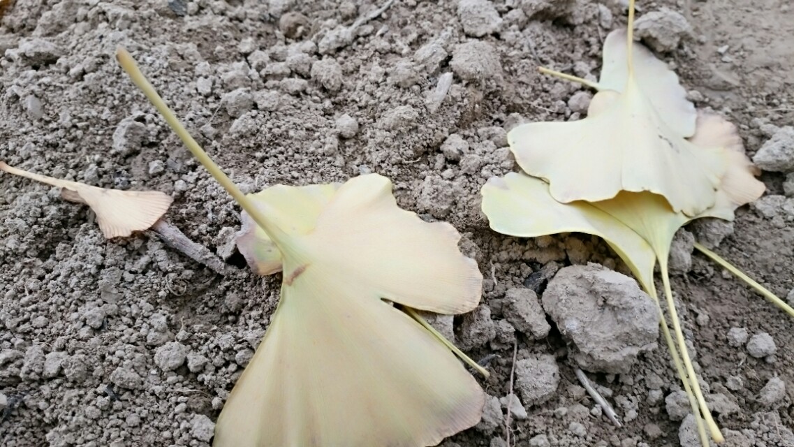 没有所有的感同身受只有冷暖自知,这个世界从来没有真正感同身受