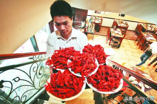 白石的深夜食堂合肥,合肥泷川深夜食堂