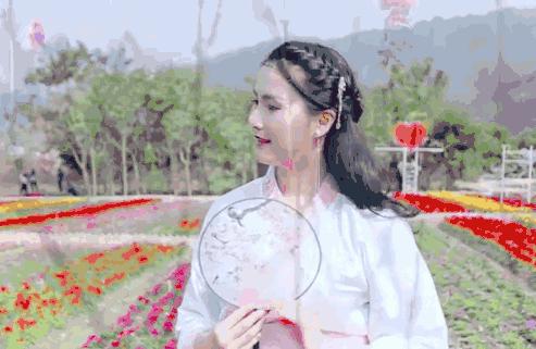 记录广州从化赏李花的美好时光,2022从化李花赏花期到几号最佳