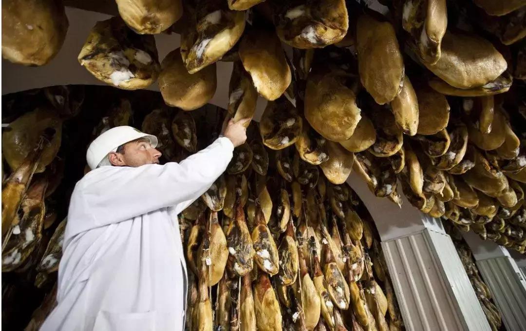 闆忛拱鍐滅墽鍊哄姟,闆忛拱鍐滅墽鍚庣画璧板娍