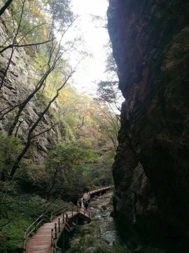 李永恩散文全集,李永恩的文章