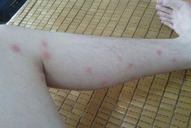 sixgod清爽祛味花露水,sixgod驱蚊花露水便携型冰莲香型