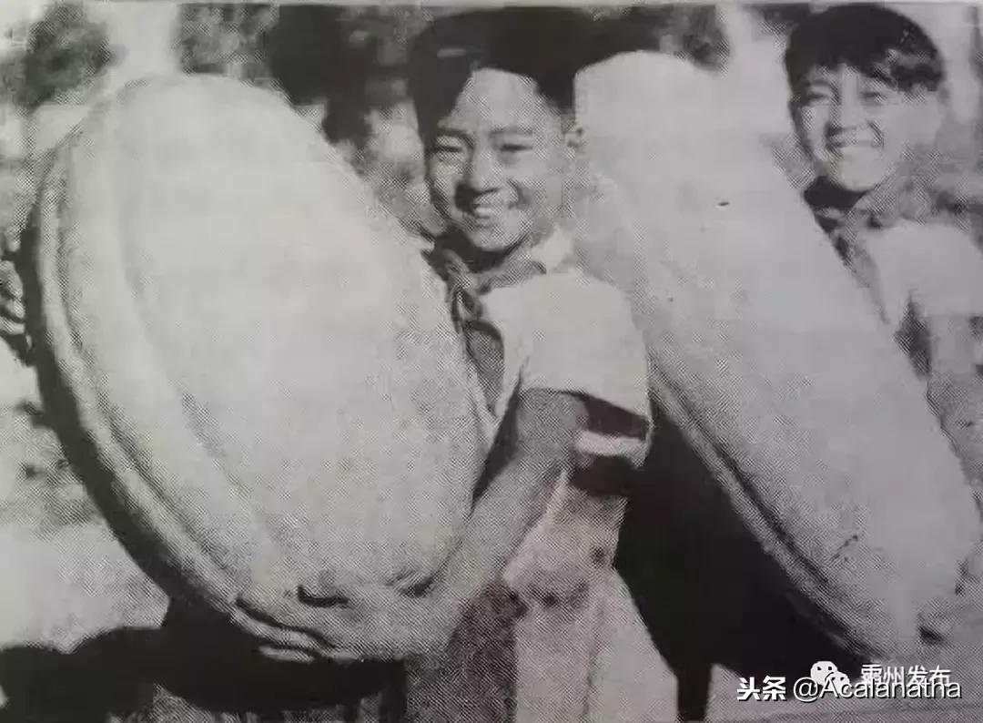 霸州土产公司老照片,霸州老城区图片