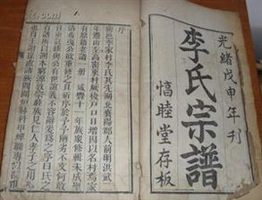 历史上真实族谱,历史遗留族谱