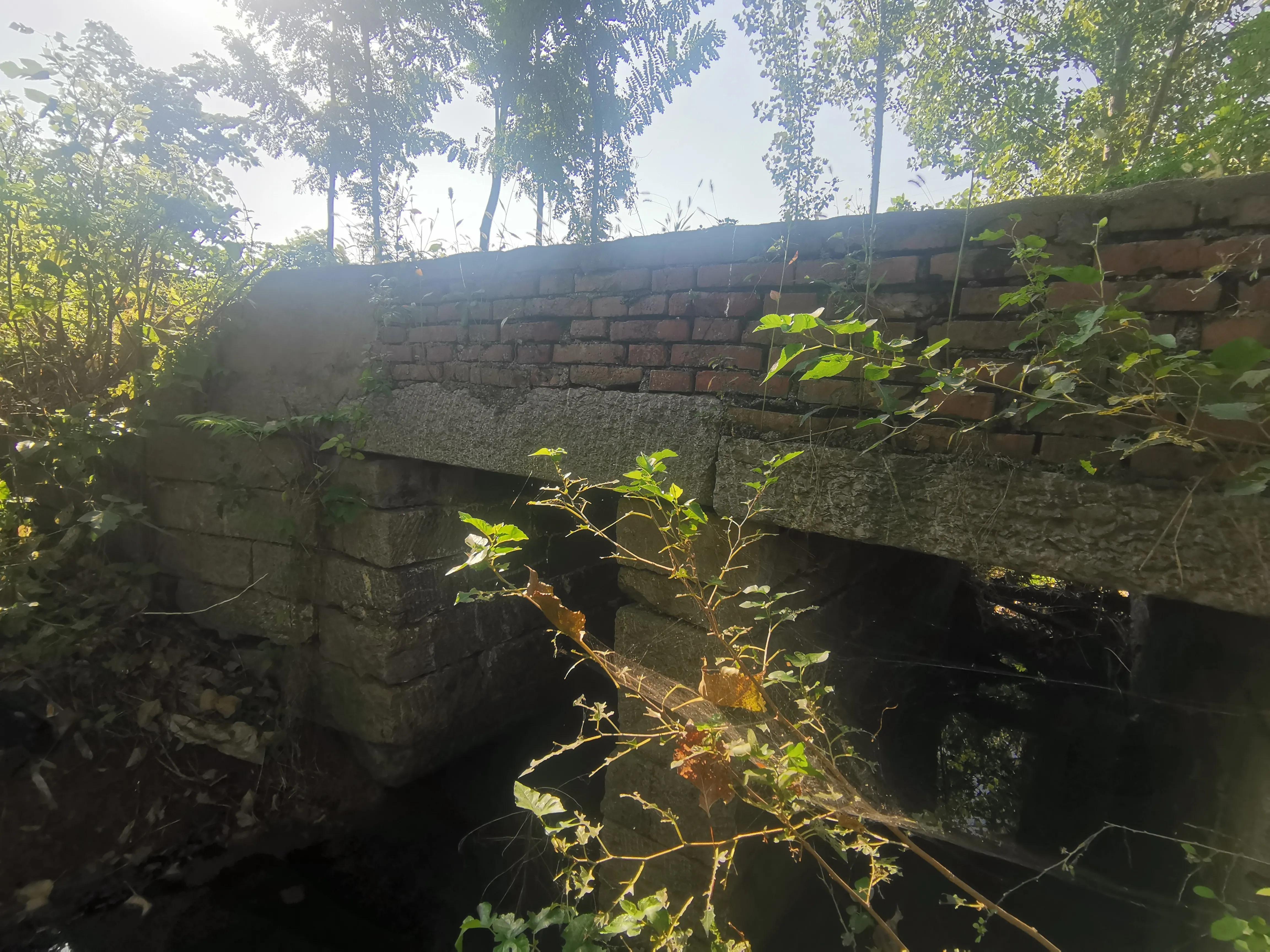 止水的人生简介,止水的简介