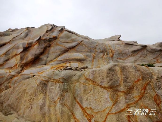 福建省漳州市六鳌镇抽象画廊,漳州六鳌抽象画廊从哪进去免费