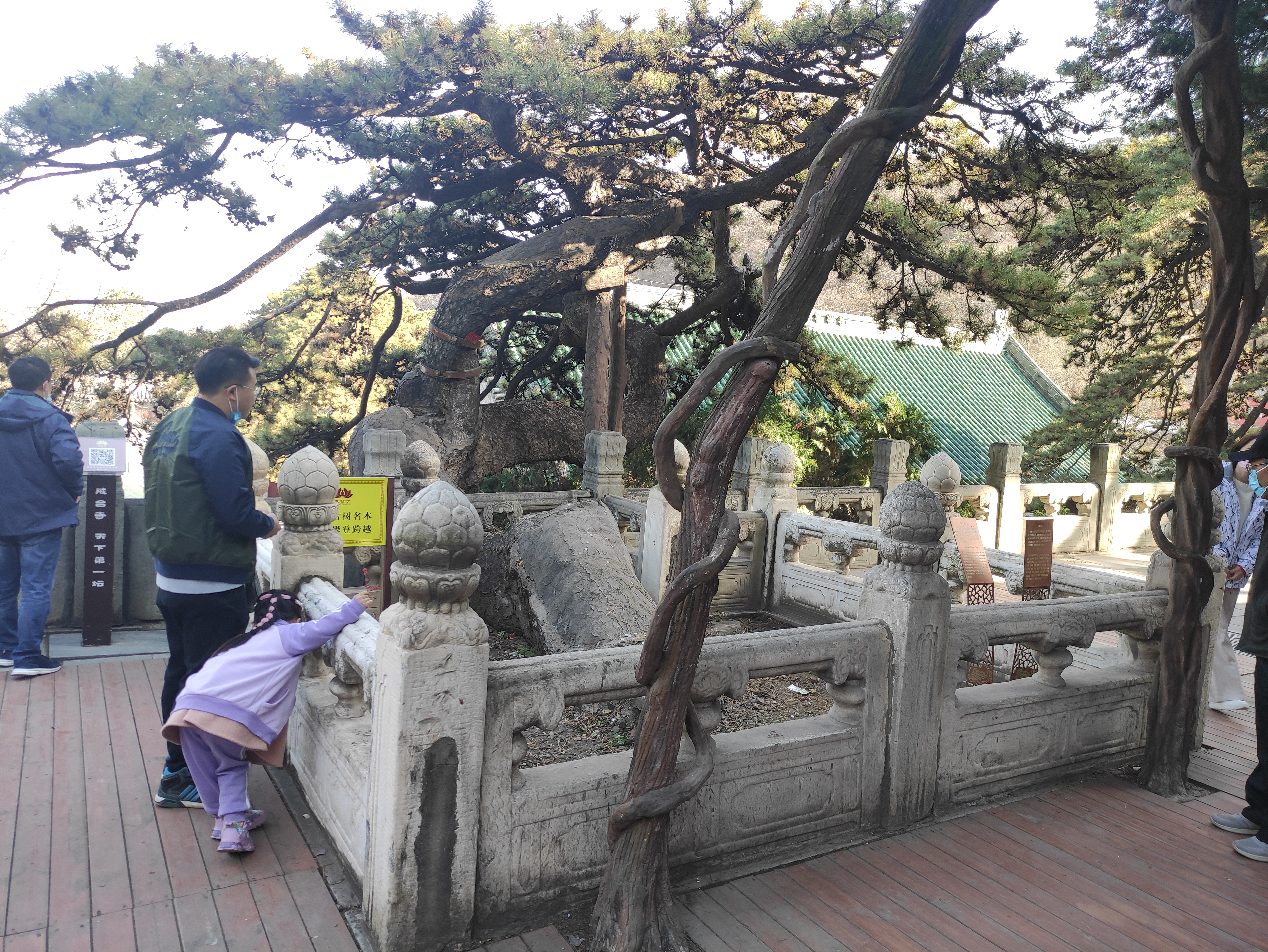 玉台寺攻略一日游,戒台寺游玩顺序