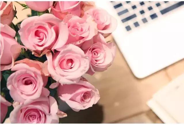 玫瑰大全|说到玫瑰只能想到红玫瑰的,建议你好看看本文!