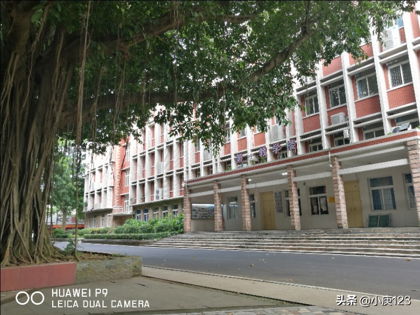 我眼中的岭南师范与广药大。