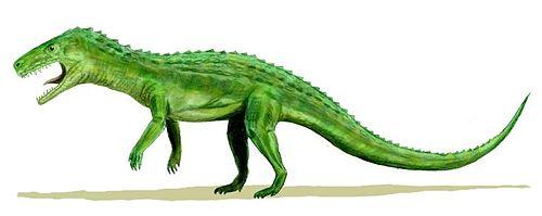 带你见识一下恐龙的进化过程,恐龙是怎么演化成如此庞大的家族