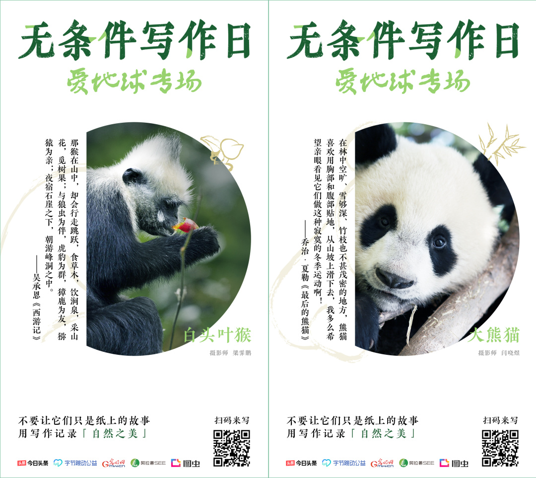 一个云南人如何成为最多产的“西方”博物学家?