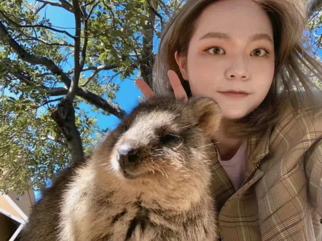 疫情期间韩国留学怎么申请,疫情韩国留学值得吗