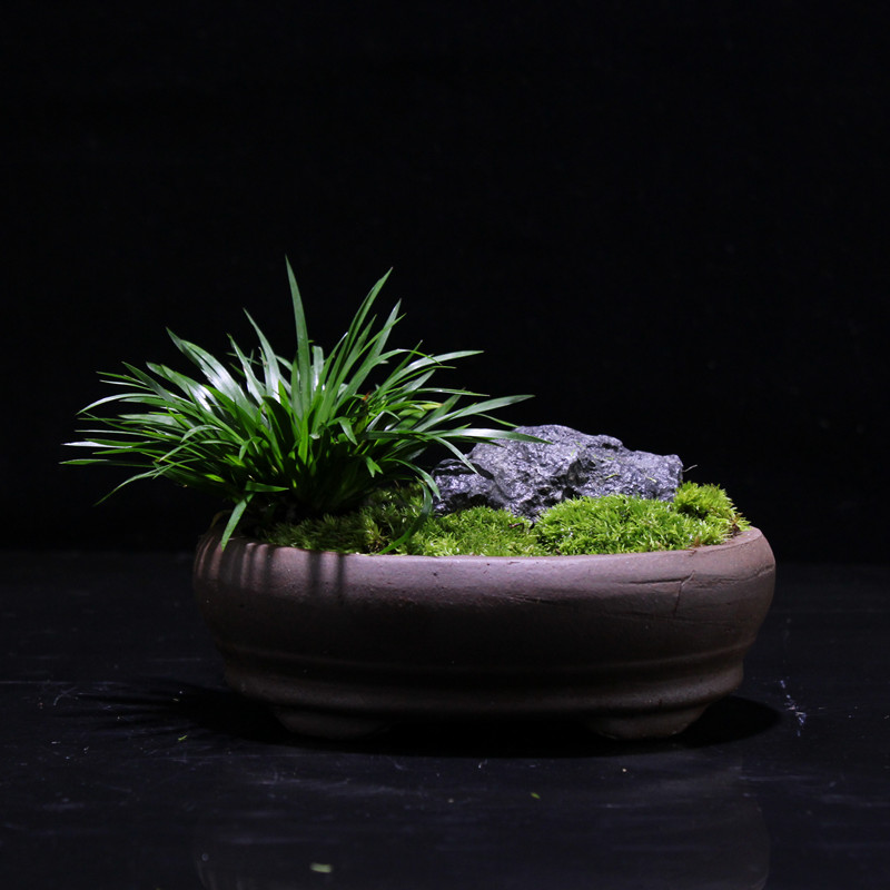 浅谈古代室内的那一抹绿意