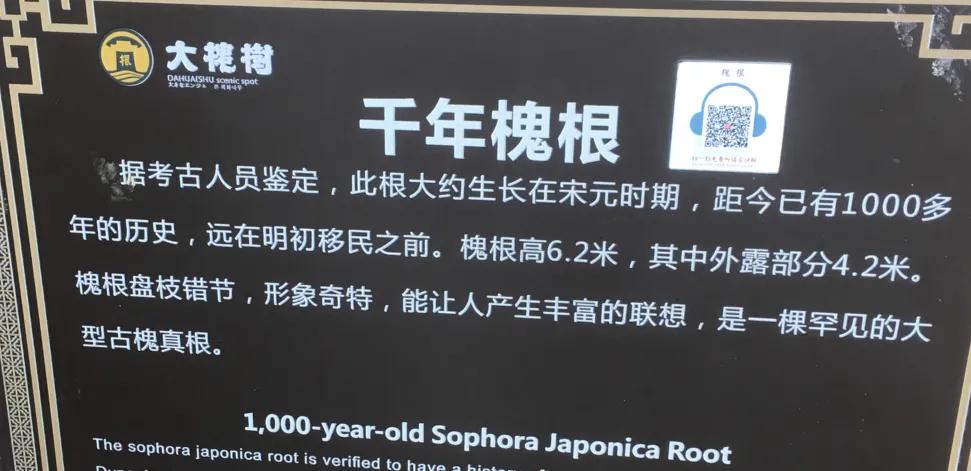 你右脚小拇指指甲盖是爽的吗？