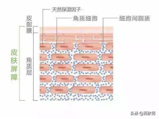 别再被所谓外油内干肤质忽悠了,适合外油内干肤质的温和护肤品