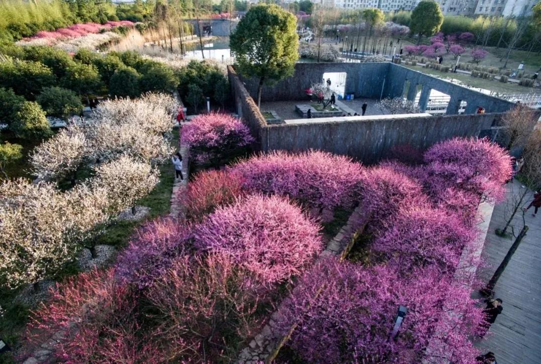 金华万固蹦床主题公园,金华最新开放的公园