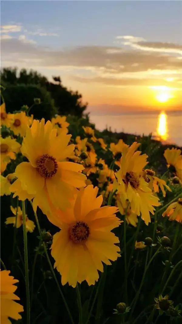 中国边境线自驾游g228与g331,环中国自驾游g228沿海公路