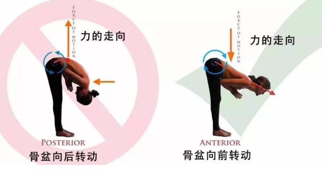 为什么有的人站立体前屈很艰难,站立体前屈立不下去