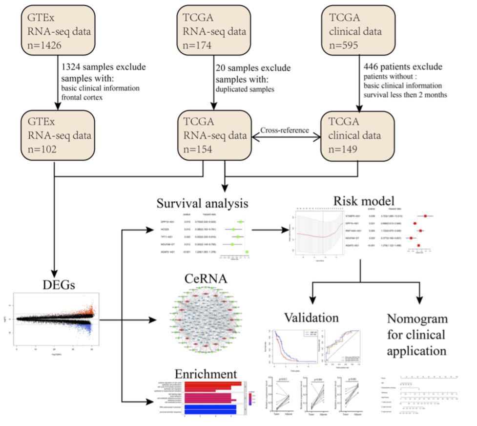博士毕业神器3+分纯生信杂志：平均一审只要一个月，年刊量1000+