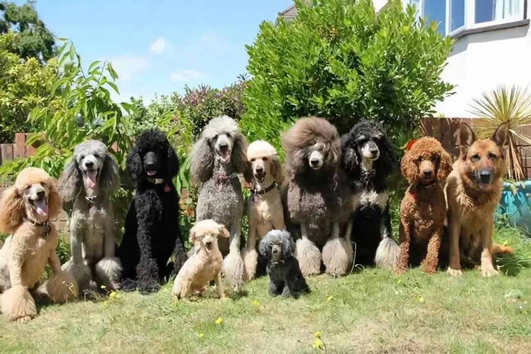 发现被别人偷拍照片,偷拍别人的照片是否违法