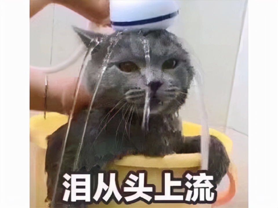 暴雪官网暗黑2重制版,暴雪确认重制暗黑2版变化