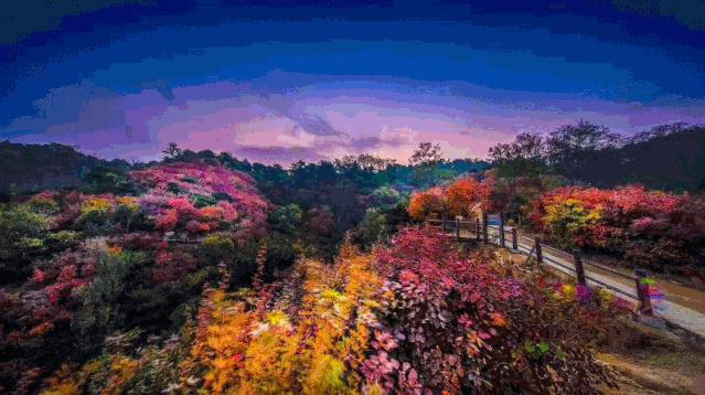 九如山什么季节去最好,九如山赏枫一日游