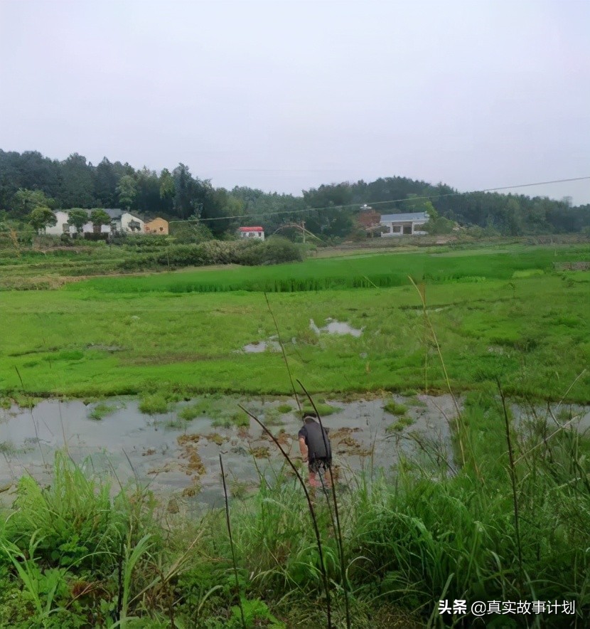冠姓权争论背后的逻辑,冠姓权对孩子有什么影响