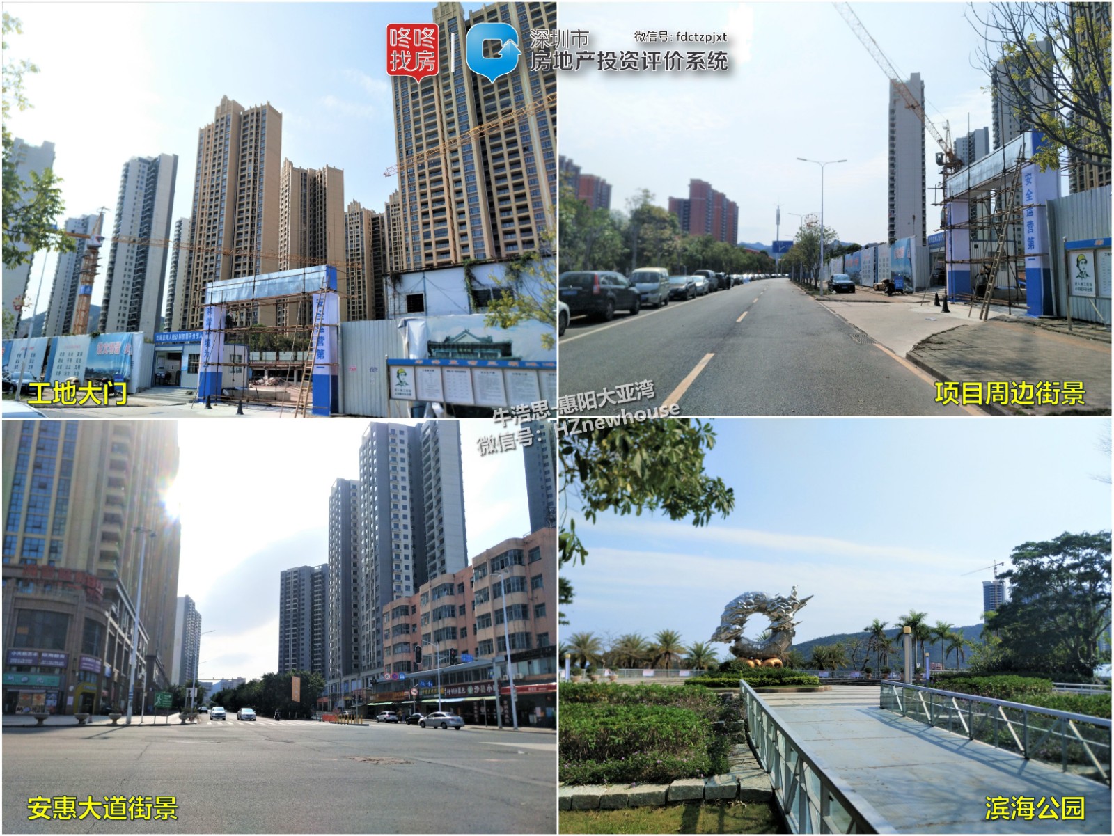 老牛观察大亚湾,大亚湾中心区老牛观察