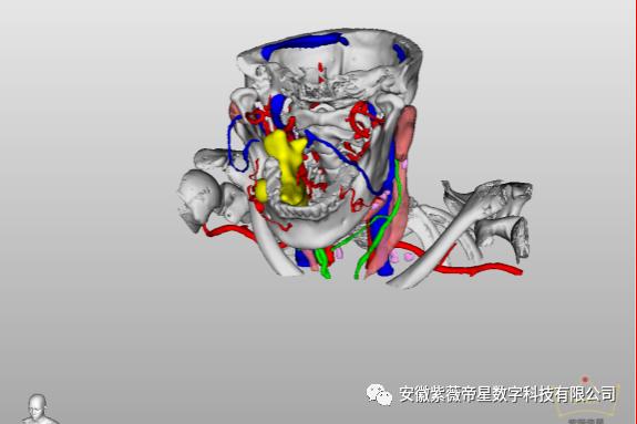 绵阳市第三人民医院甲状腺外科,绵阳三医院甲状腺外科
