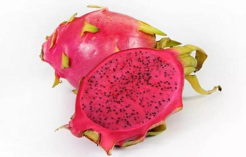 火龙果是什么样的一种植物,火龙果是什么颜色植物