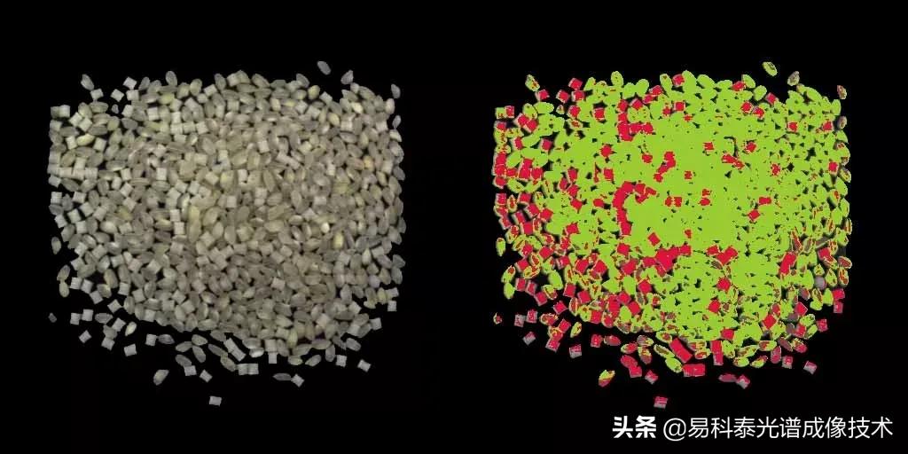 高光谱遥感技术监测流程,高光谱成像技术在农业领域的应用