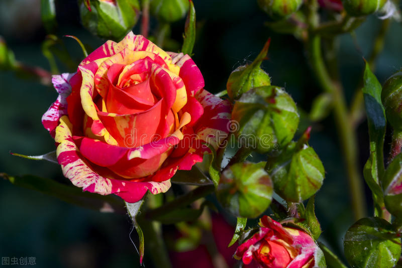 遇到缺斤少两，不妨试试这个方法