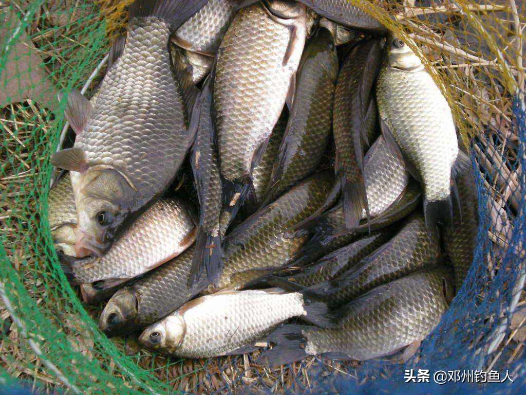 钓鱼的技巧之野钓视频,冬季钓鱼视频野钓看漂技巧