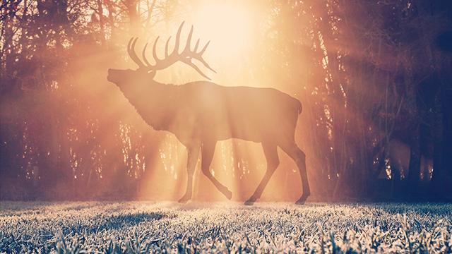 英文拜托你怎么说,拜托你了用古文怎么说